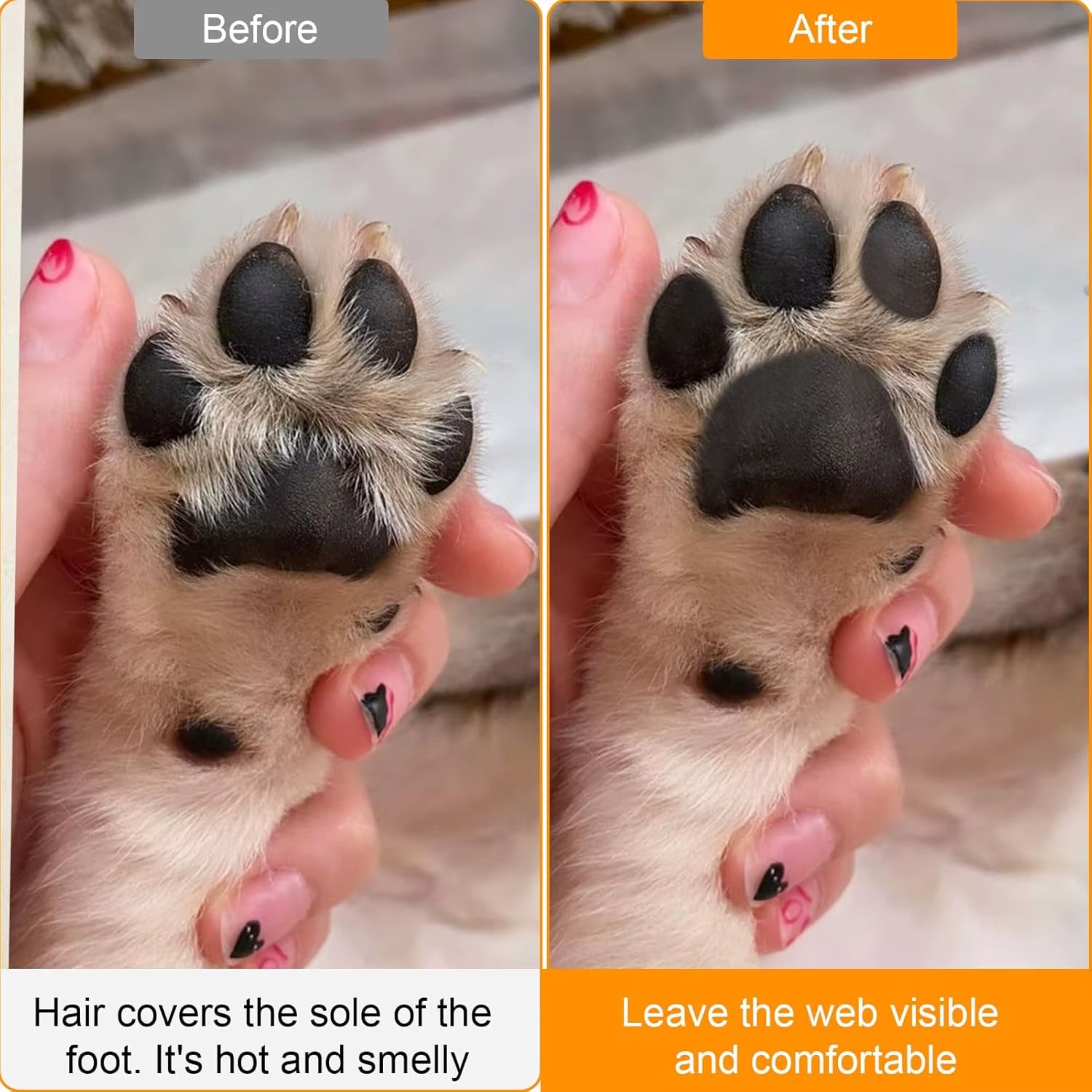 Portable Dog Paw Trimmer with LED Light Waterproof Electric Pet Hair Clipper Low Noise Face Feet Ear Hip Hair Paw Shaver